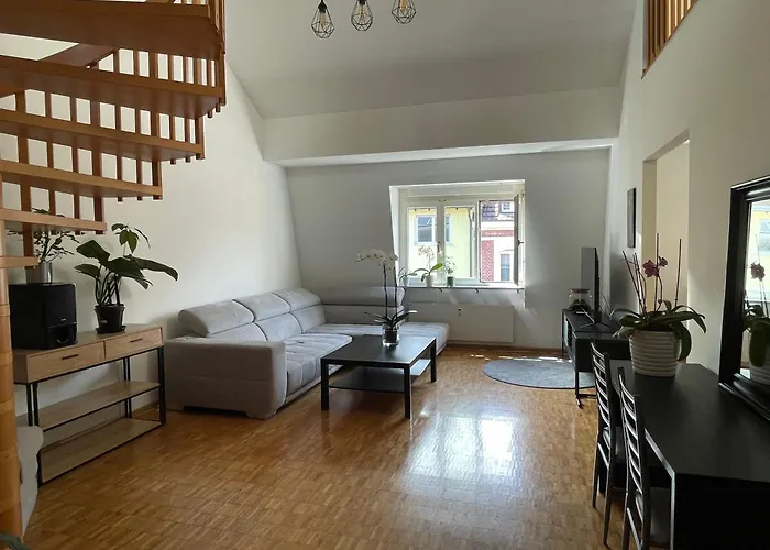 Amazing Duplex In Center Basel!