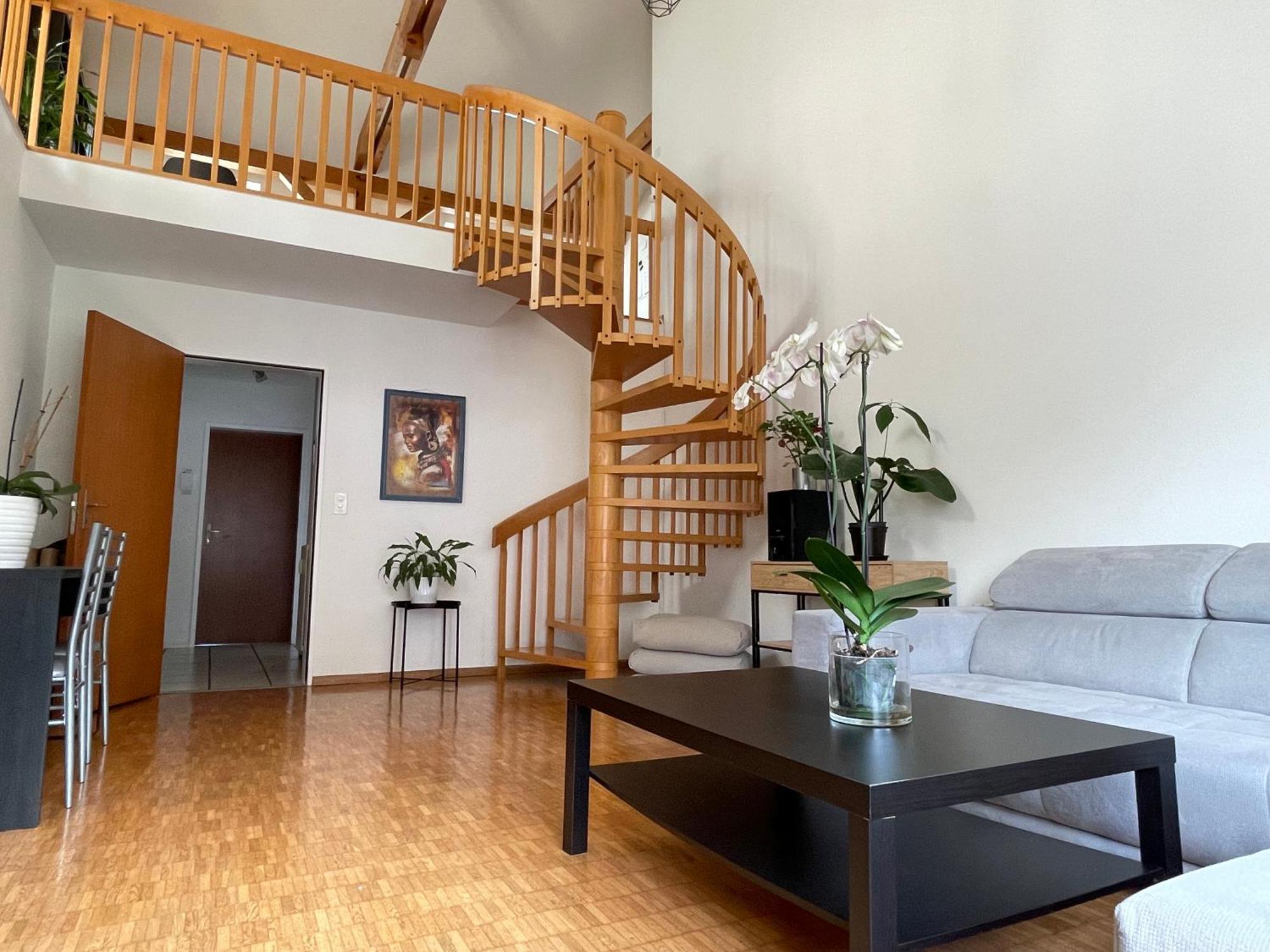 Appartement Amazing Duplex In Center Basel!