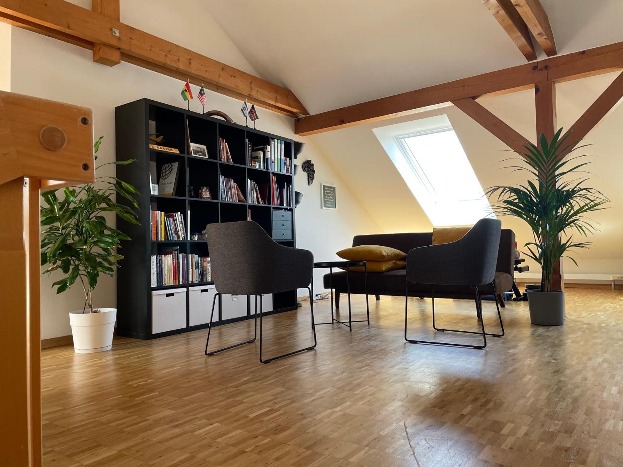 Amazing Duplex In Center Basel! * Bâle