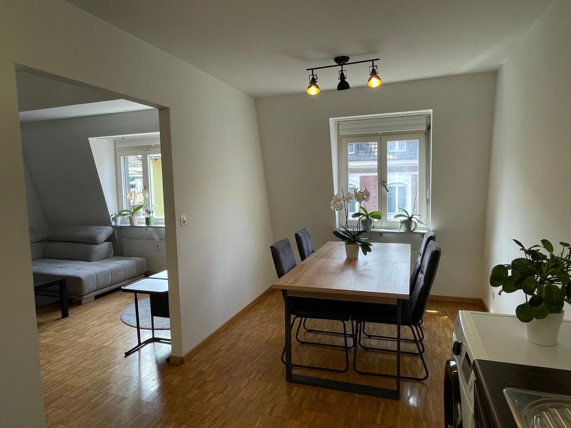 Appartement Amazing Duplex In Center Basel! *