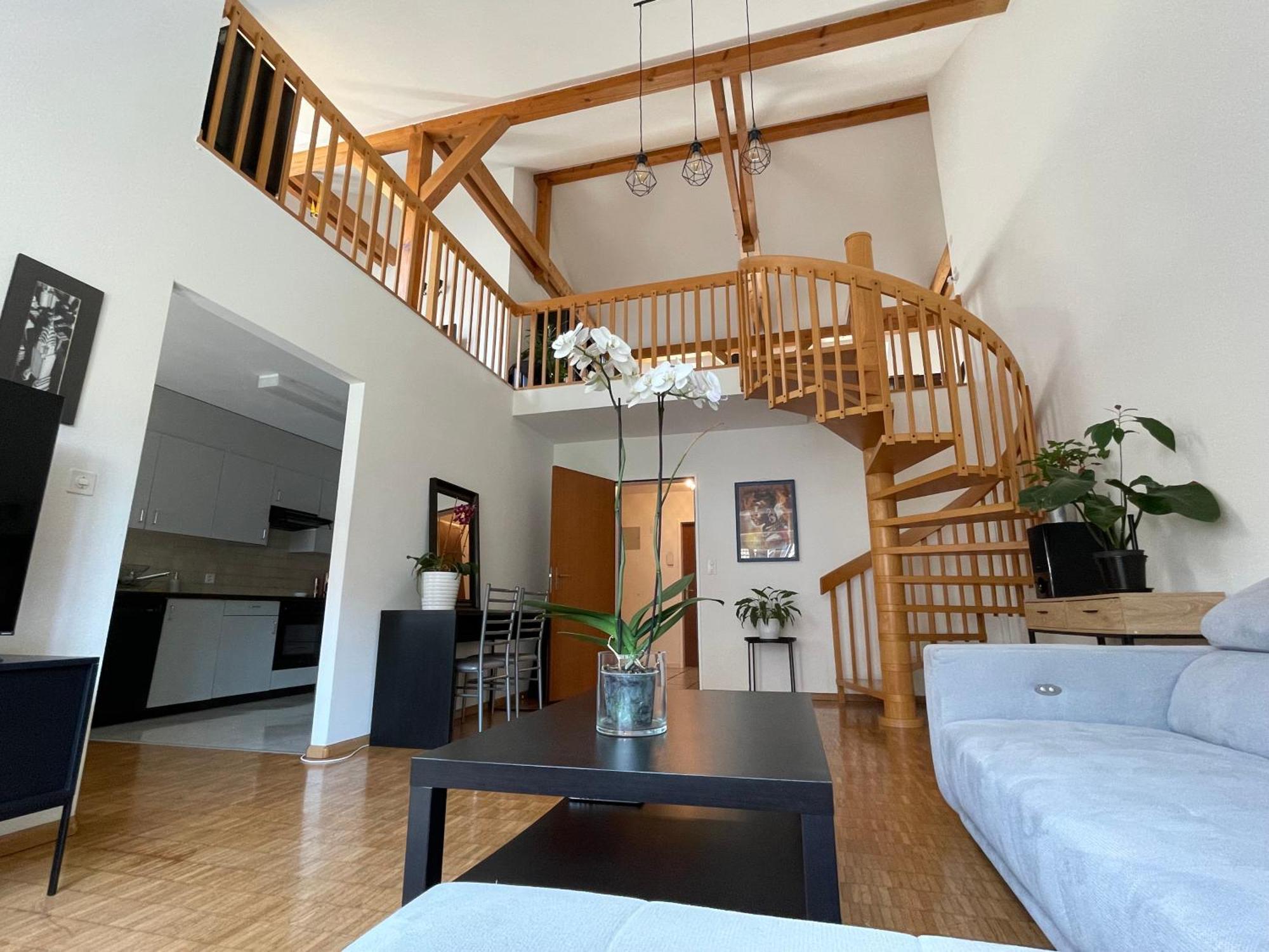 Appartement Amazing Duplex In Center Basel! *