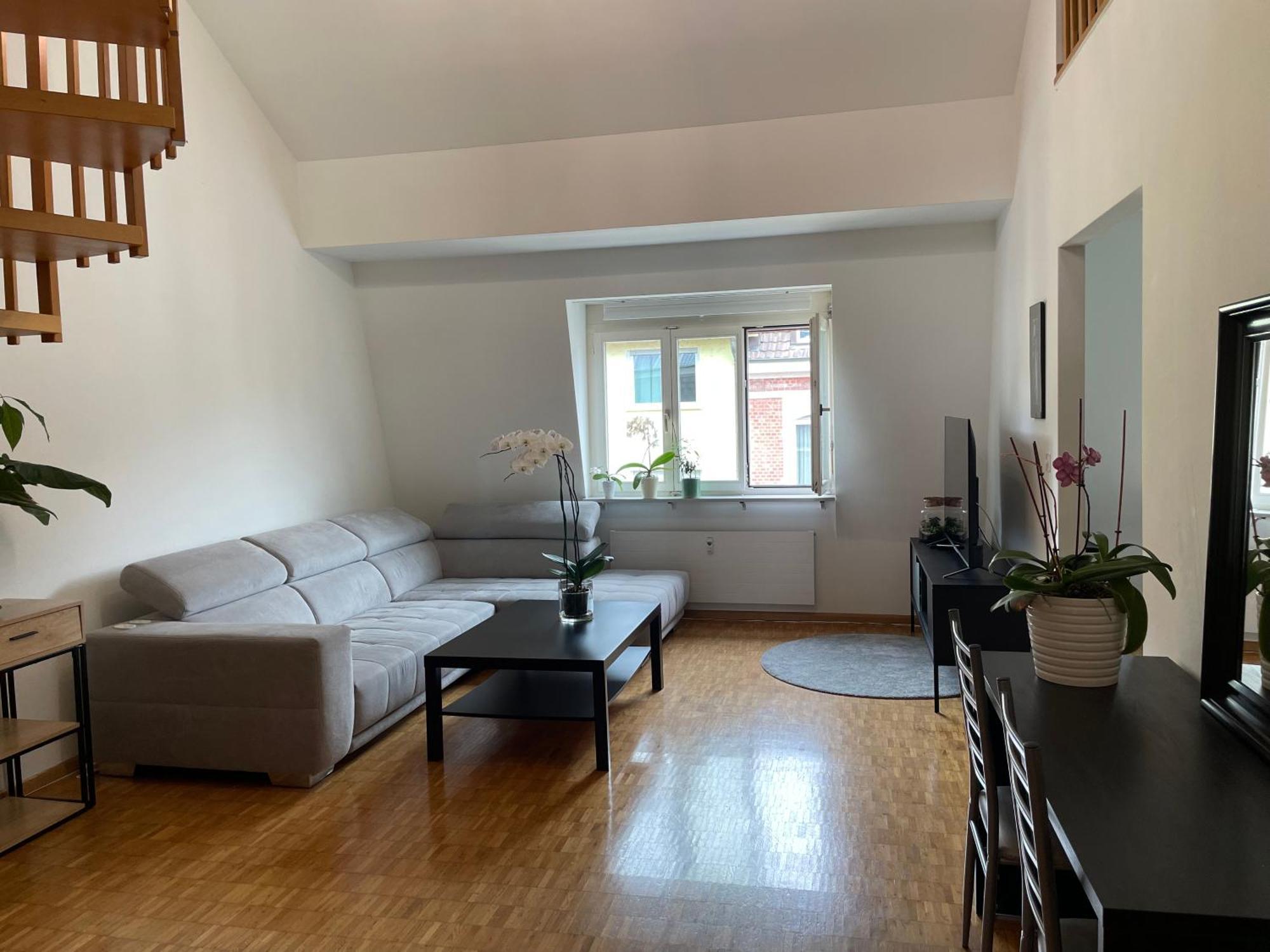 Amazing Duplex In Center Basel! Appartement