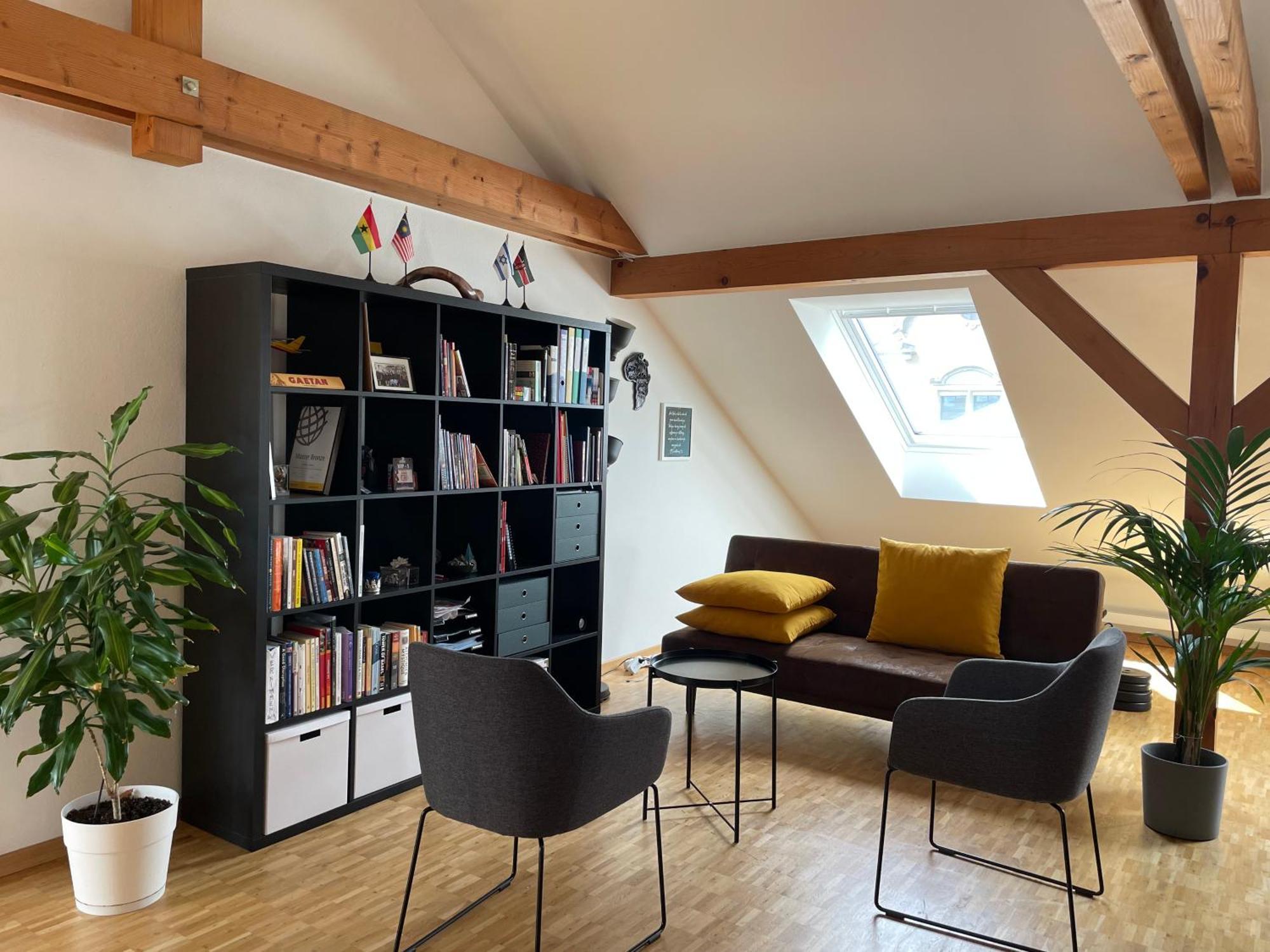 Amazing Duplex In Center Basel! Appartement