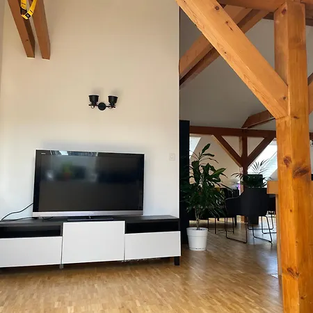 Appartement Amazing Duplex In Center Basel! Extérieur photo