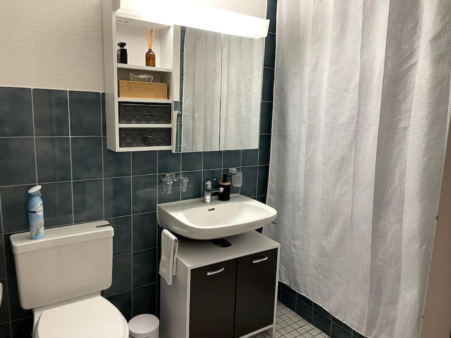 Appartement Amazing Duplex In Center Basel! Bazel